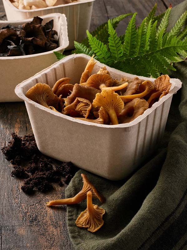 aanbod-food-containers