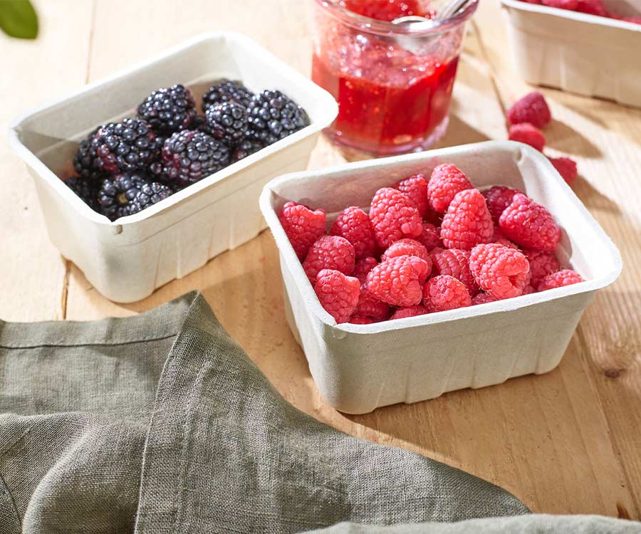 molded-fiber-toepassing