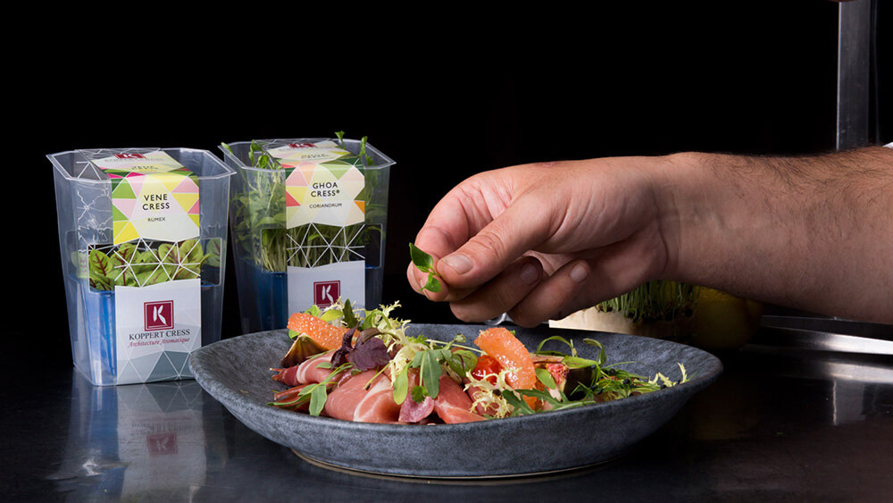 verpakking-voor-in-de-horeca